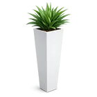 Tapered pot