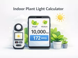 Indoor Plant Light Calculator: Lux to PPFD