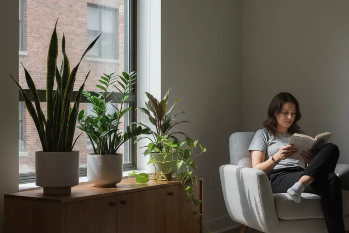 Low-light indoor plant care and placement