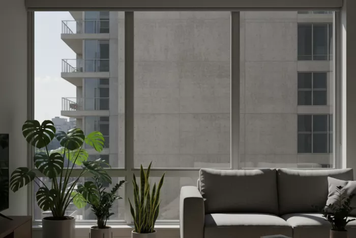 Low-light apartment houseplants indoor light tolerance
