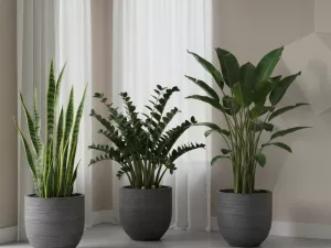 Tall Low-Light Plants for Empty Corners
