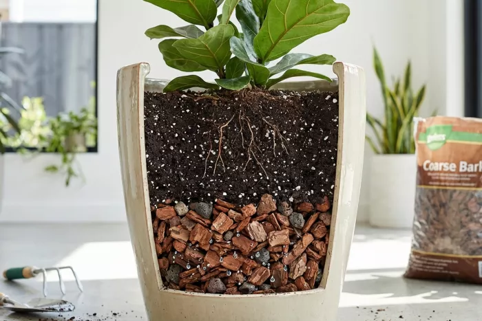 Plant pot soil layers for drainage and roots