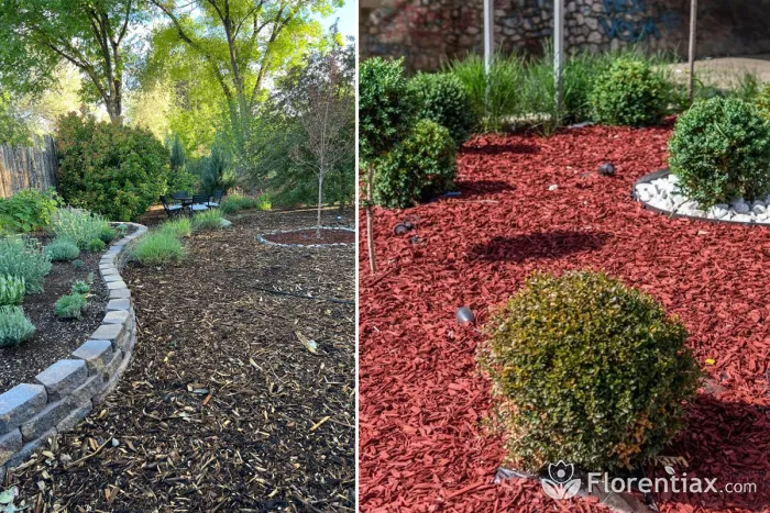 Wood chip and red mulch garden beds